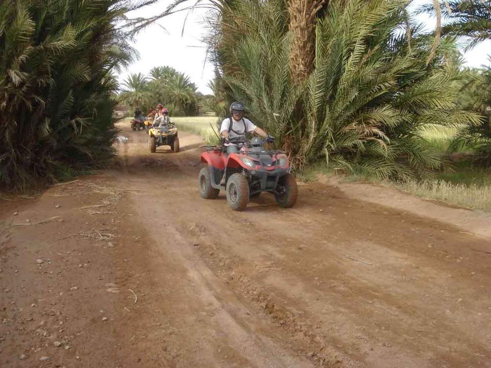 QUAD AND CAMEL