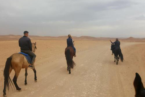 Horse Riding Tour in the Atlas